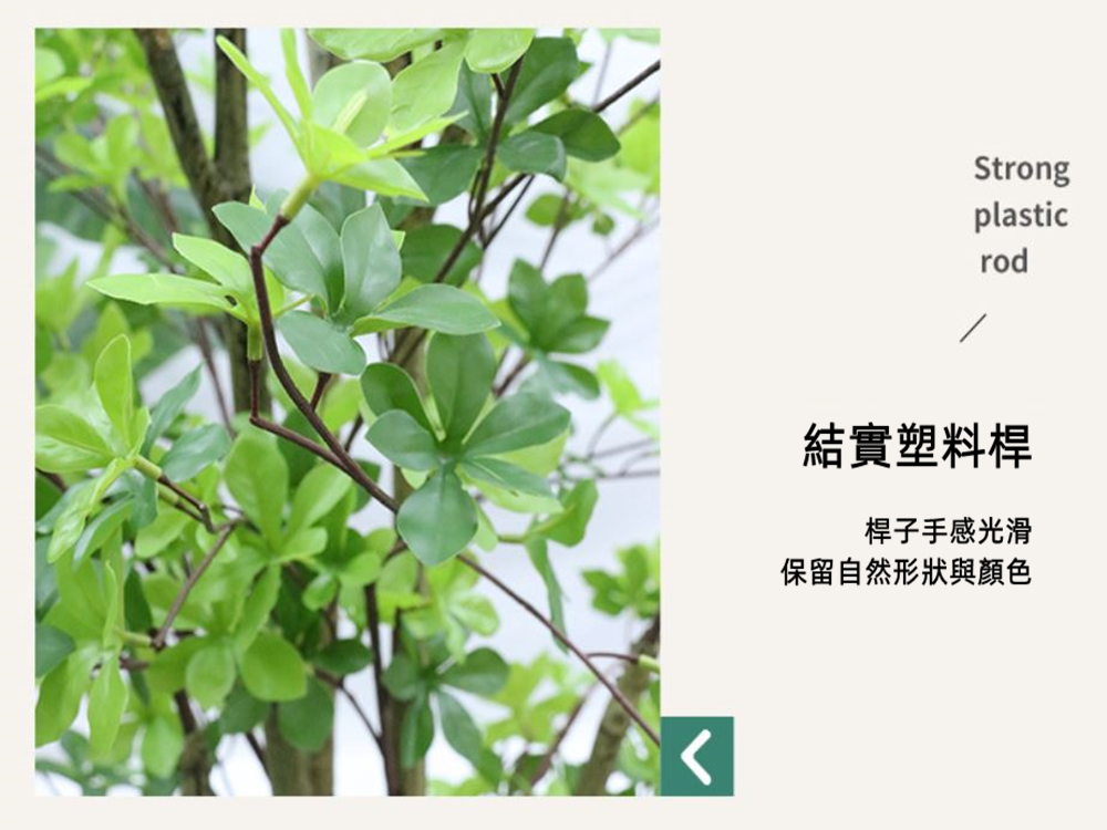 結實塑料桿 桿子手感光滑 保留自然形狀與顏色 