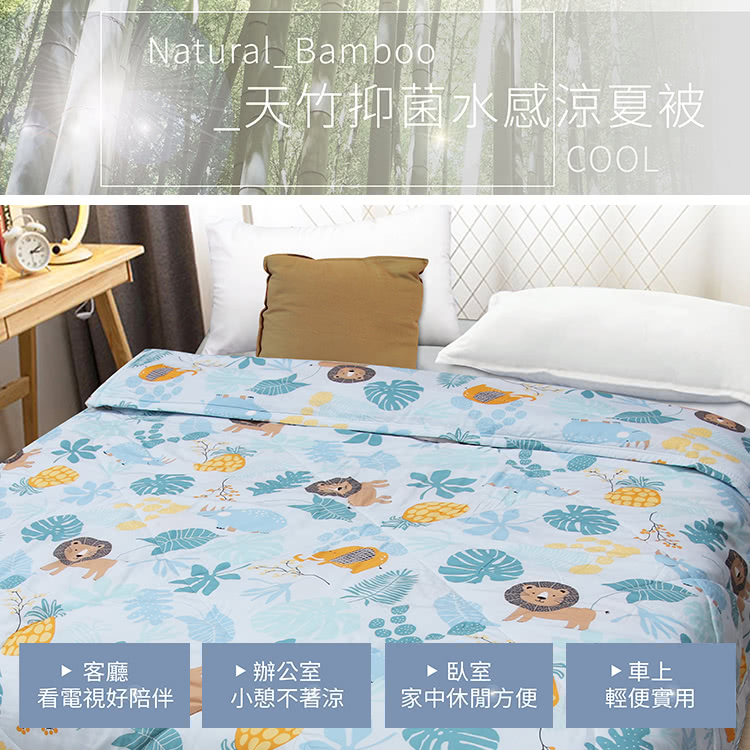 天竹抑菌水感涼夏被