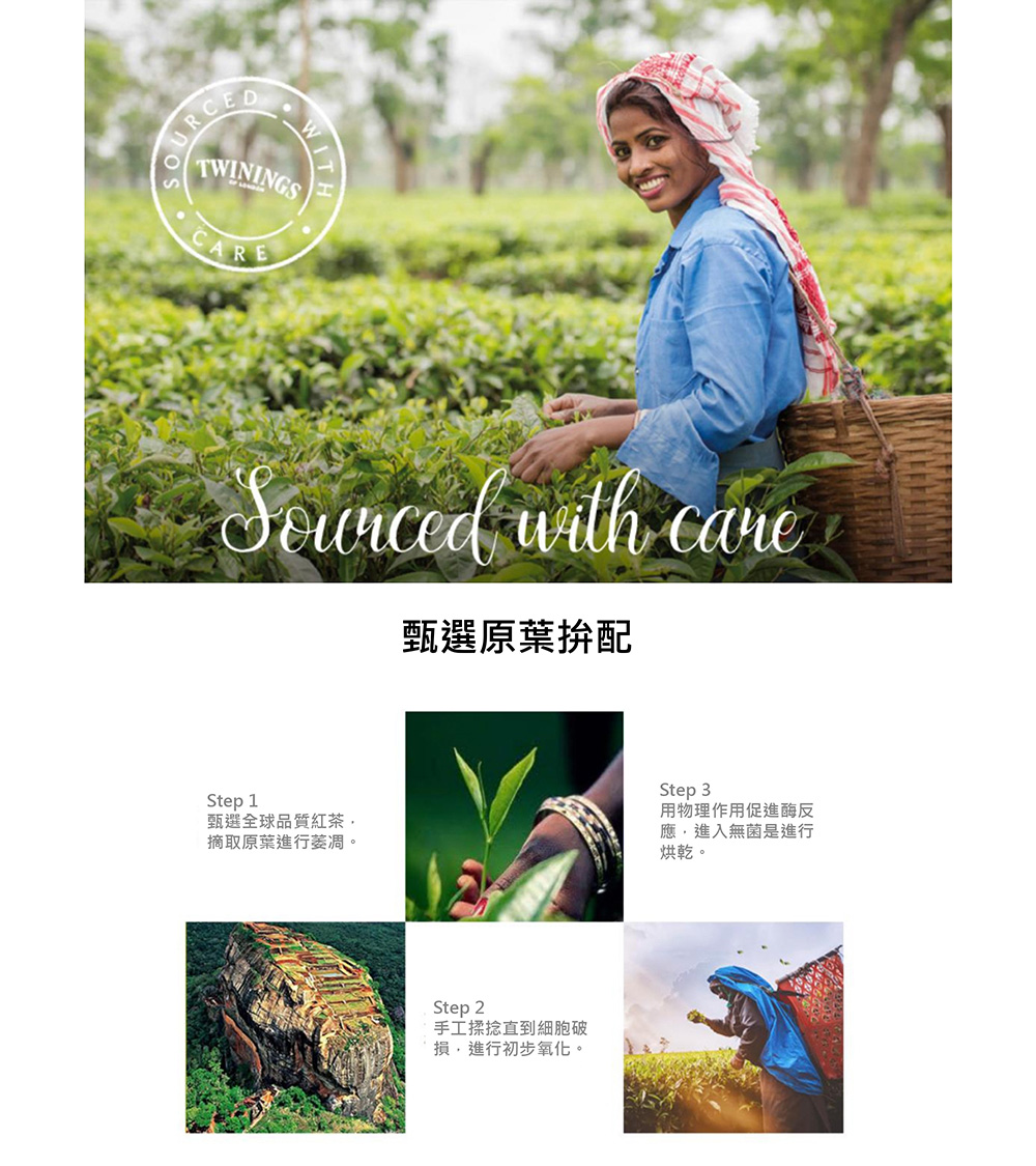 甄選全球品質紅茶,