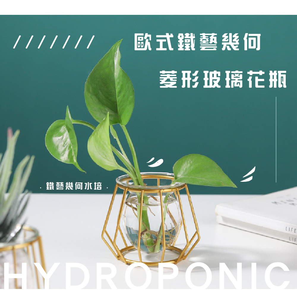 éµèå¹¾ä½æ°´å¹ æ­å¼éµèå¹¾ä½ è±å½¢ç»çè±ç¶ 