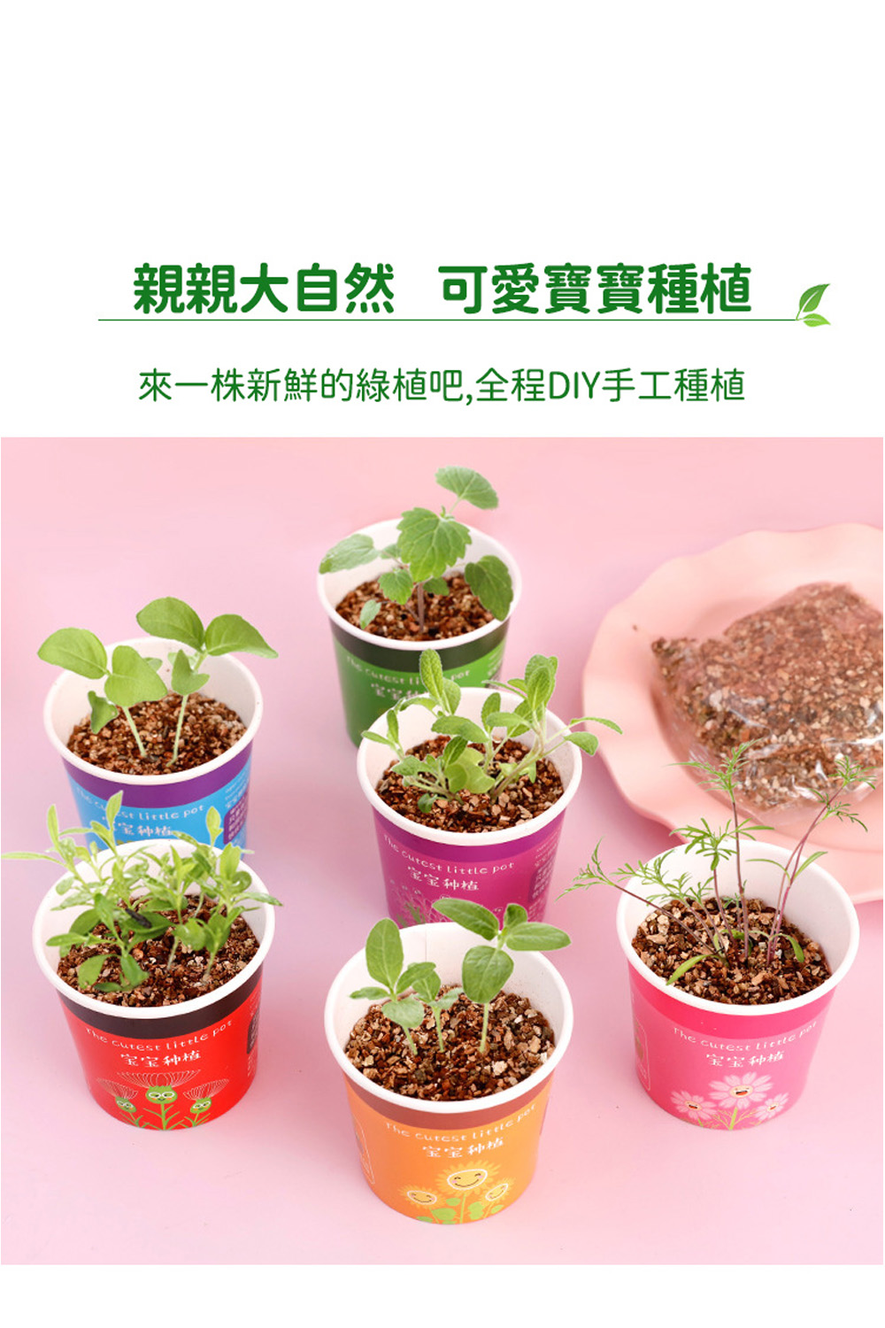 來一株新鮮的綠植吧,全程DIY手工種植