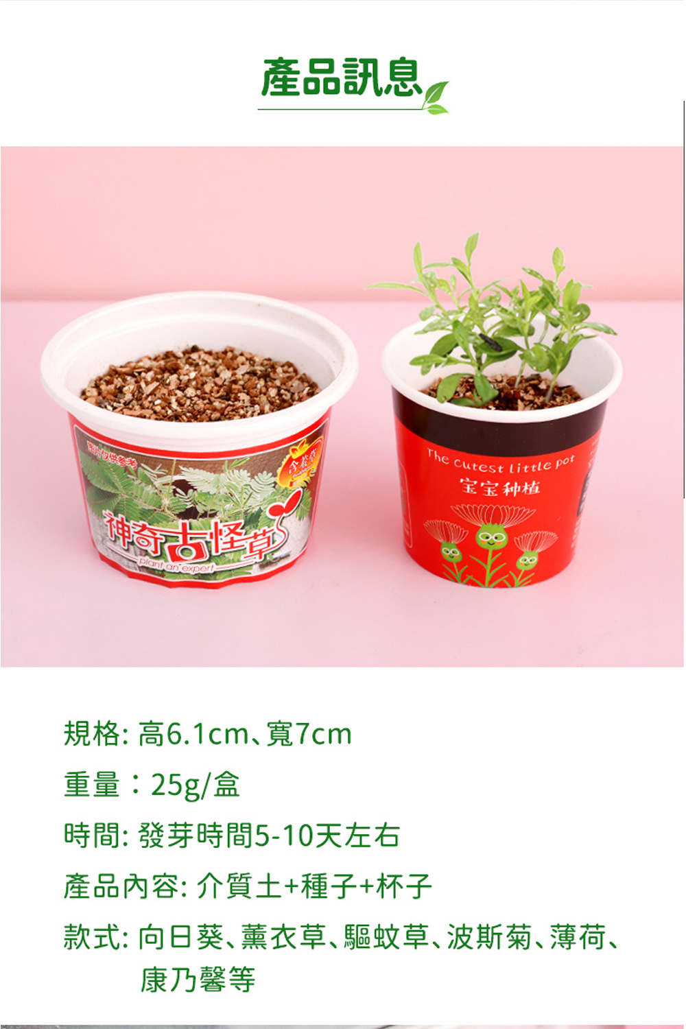 款式 向日葵薰衣草驅蚊草、波斯菊、薄荷、