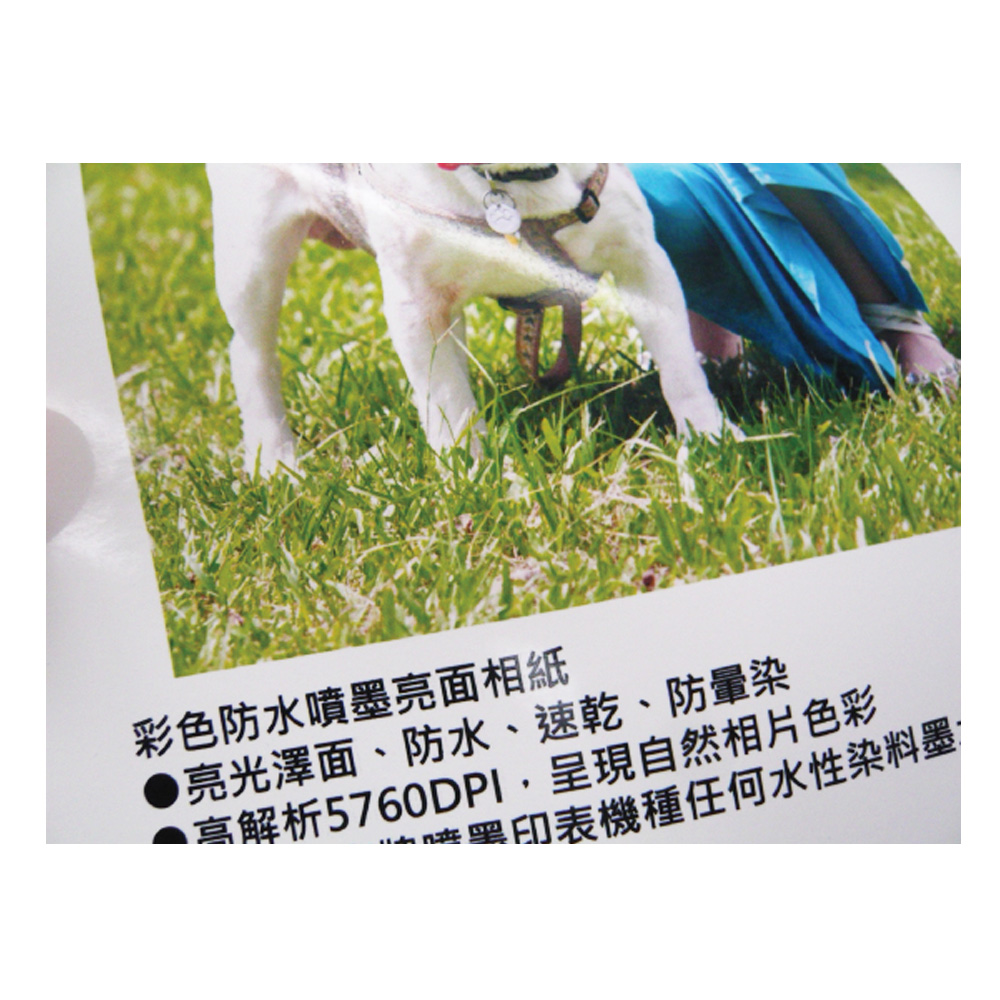 彩色防水噴墨亮面相紙 亮光澤面、防水、速乾、防暈染 高解析5760DPI,呈現自然相片色彩 黑印表機種任何水性染料墨 