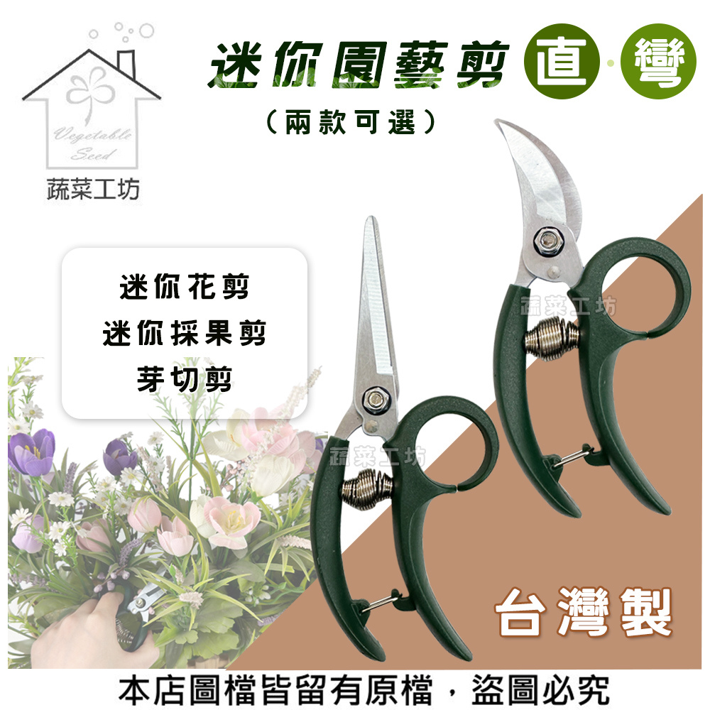 本店圖檔皆留有原檔,盜圖必究