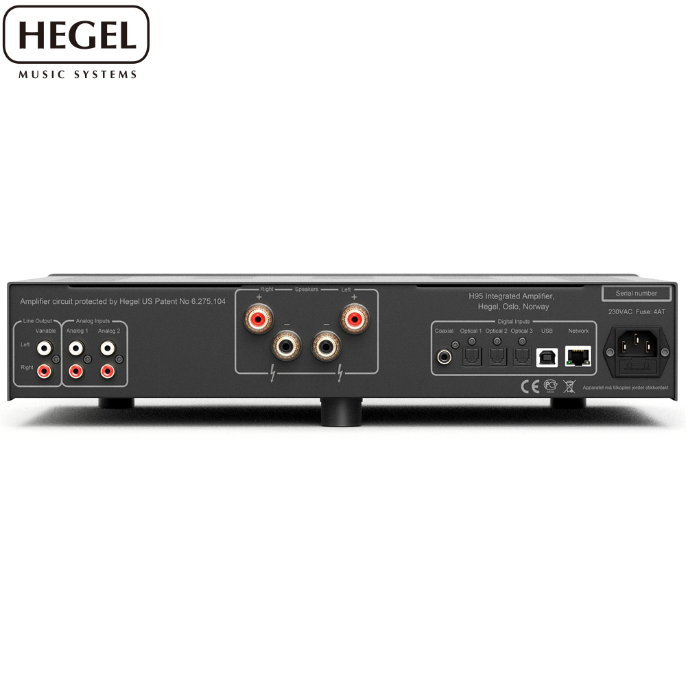 Hegel H95 H120 H190V - 詳情5