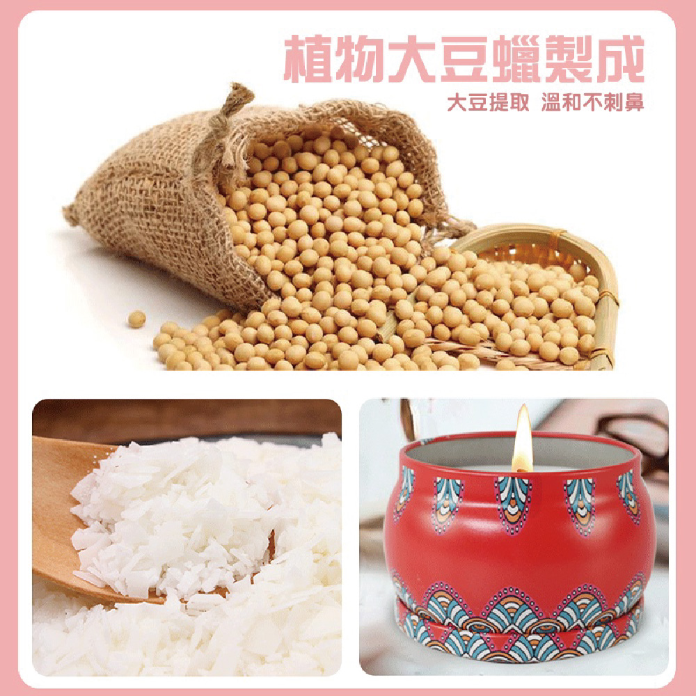 æ¤ç©å¤§è±è è£½æ å¤§è±æåæº«åä¸åºé¼» 