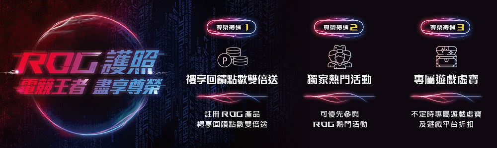 ASUS 華碩 17.3吋i9 RTX3060電競筆電(RO