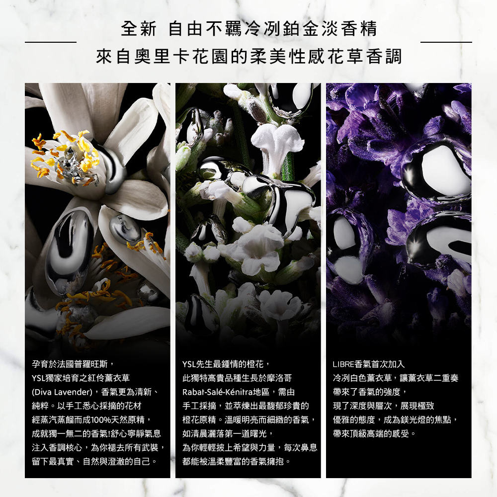 Diva Lavender,香氣更為清新、