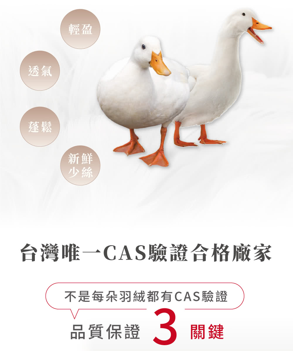 å°ç£å¯ä¸CASé©è­åæ ¼å» å®¶
