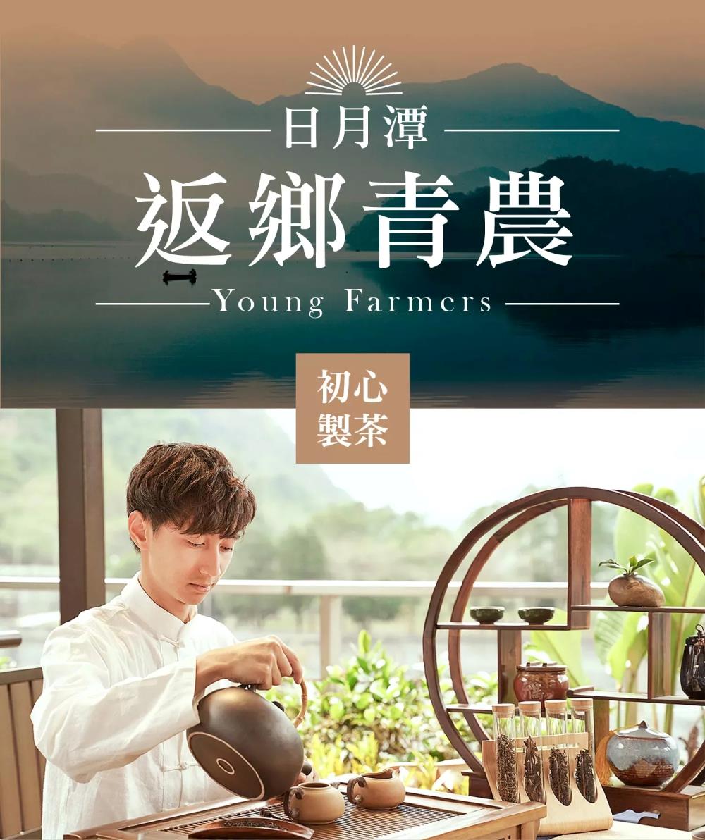 日月潭 返鄉青農 初心 製茶 