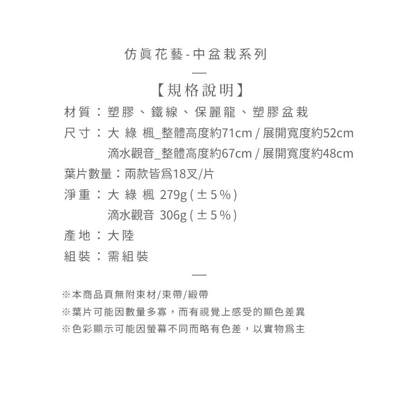 尺寸大 綠 楓整體高度約71cm  展開寬度約52cm