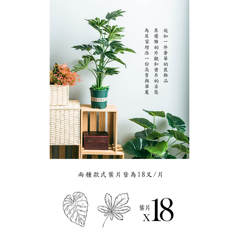 為居家增添一份高貴與華麗