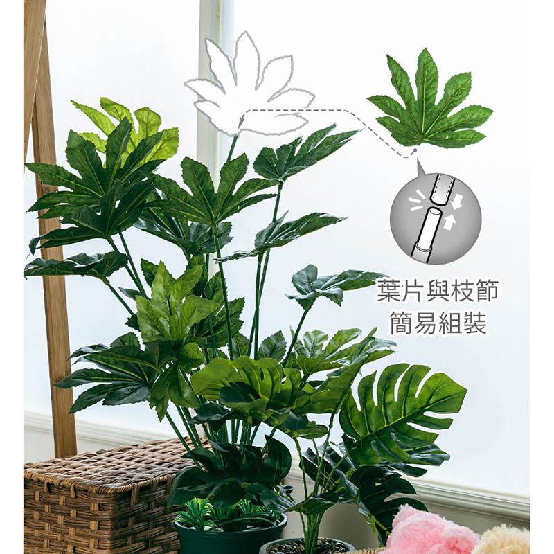 葉片與枝節 簡易組裝 