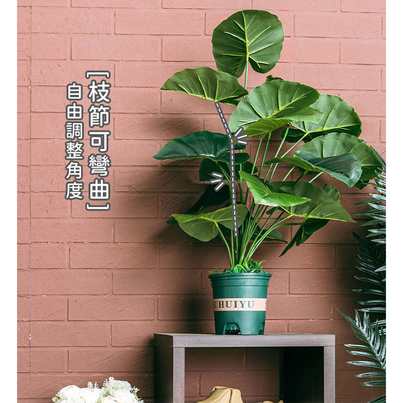 枝節可彎曲 自由調整角度 