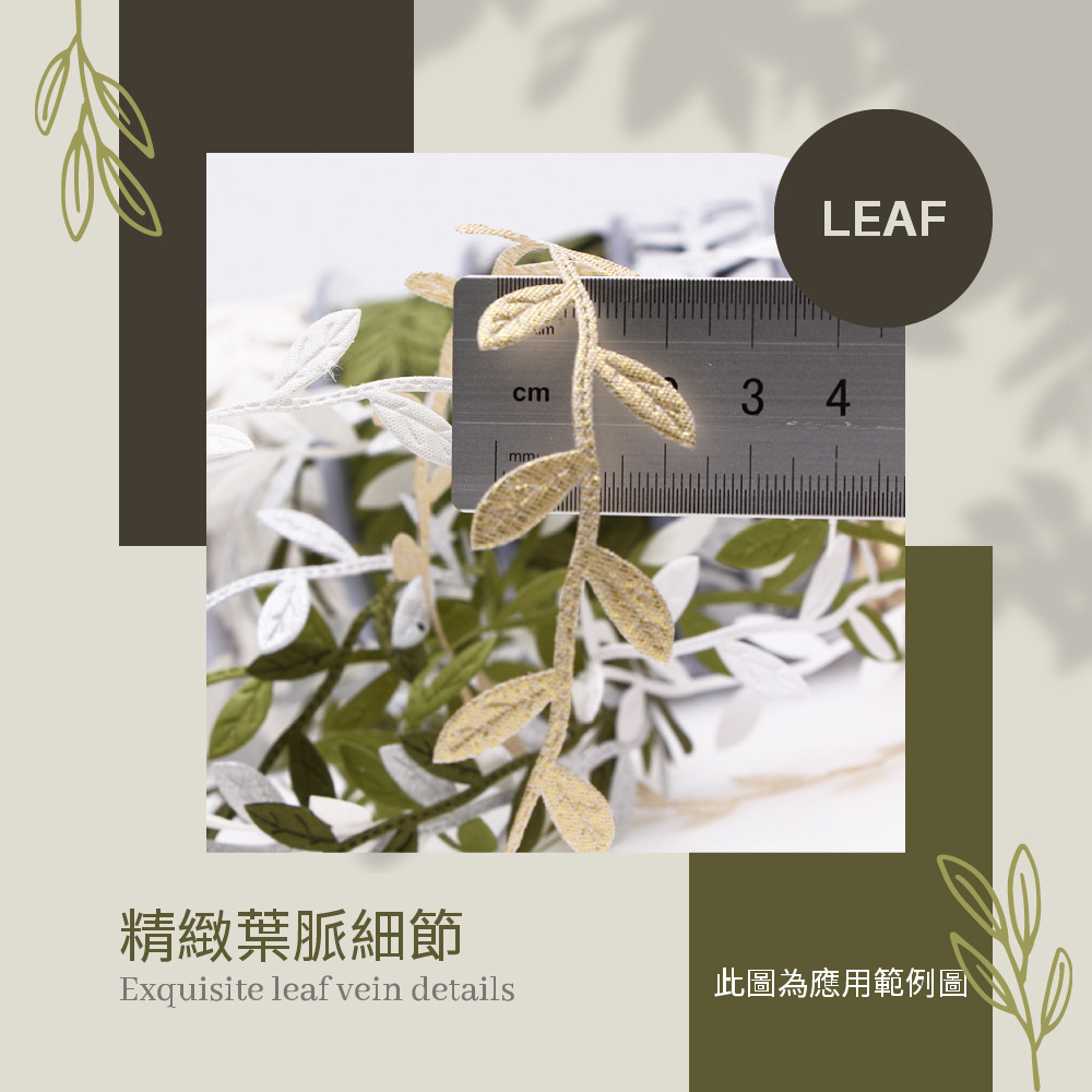 精緻葉脈細節 此圖為應用範例圖 