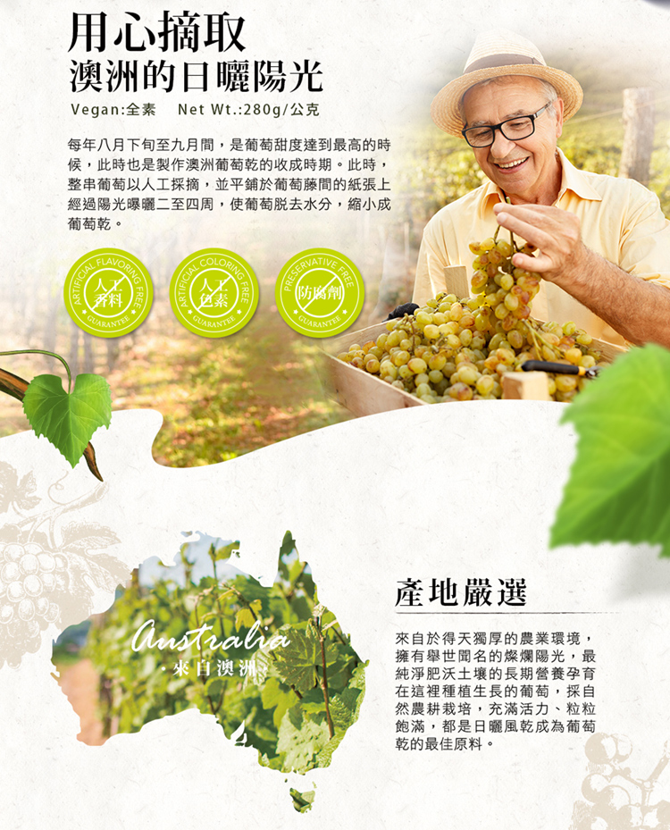 每年八月下旬至九月間,是葡萄甜度達到最高的時