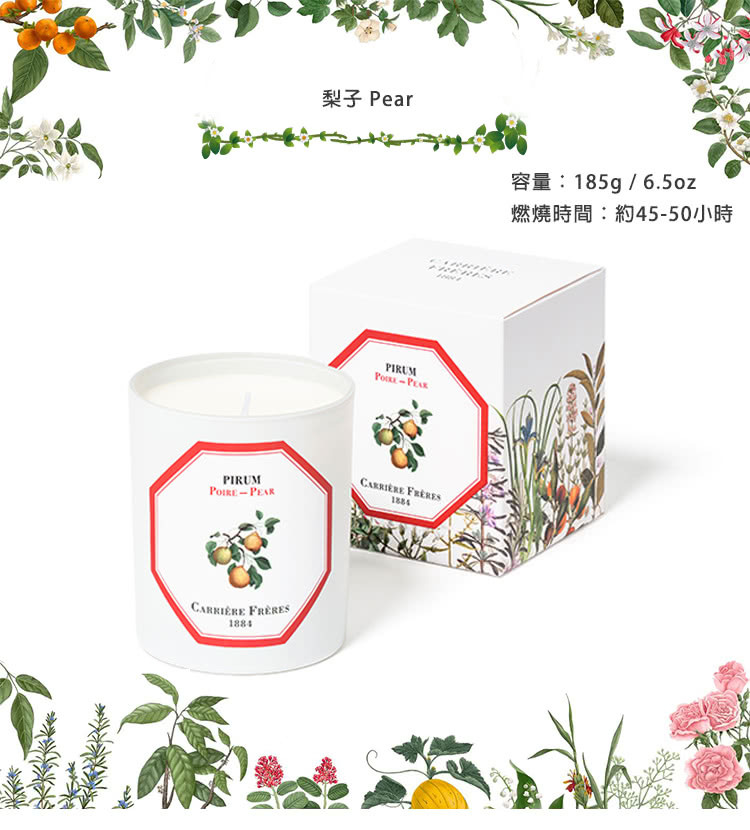 梨子 Pear 燃燒時間約4550小時 