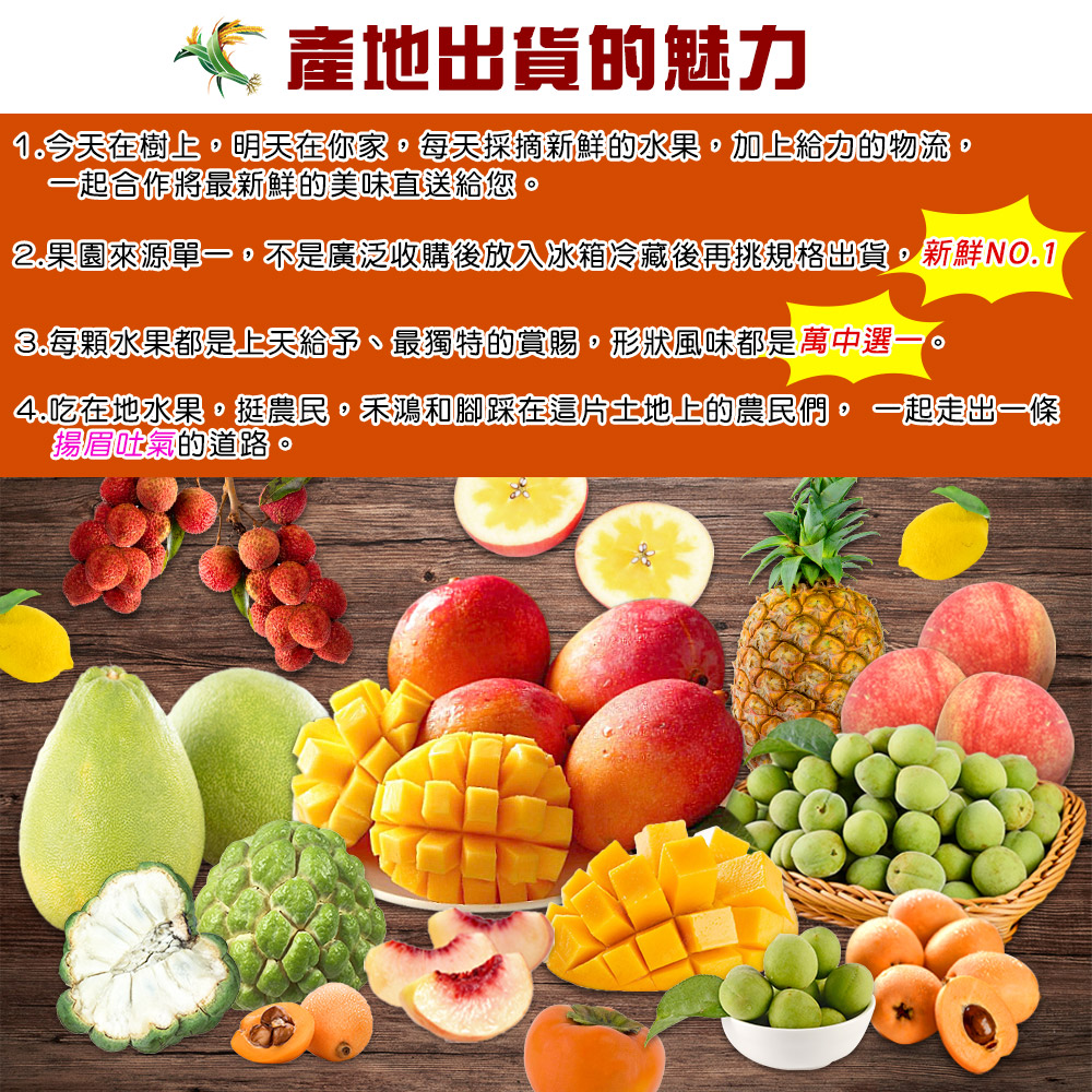 禾鴻 麻豆老欉大白柚10斤x1箱(4-6顆/箱-SGS+產地