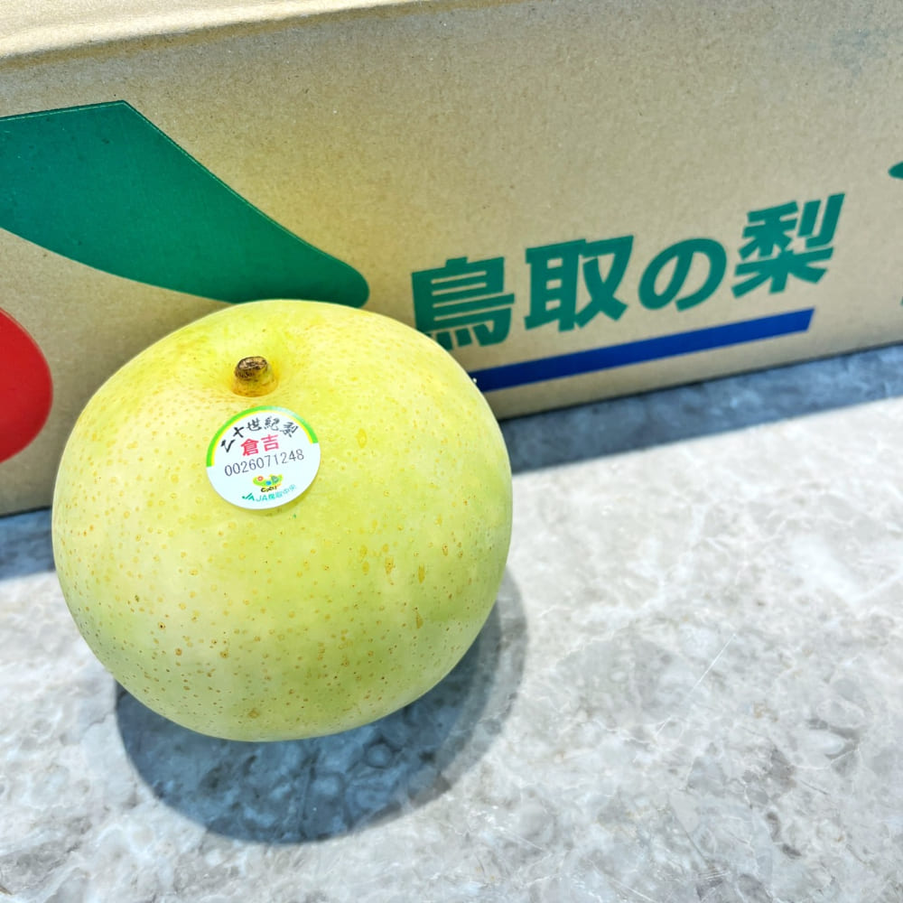 舒果SoFresh 12S日本鳥取二十世紀梨{12顆/5KG