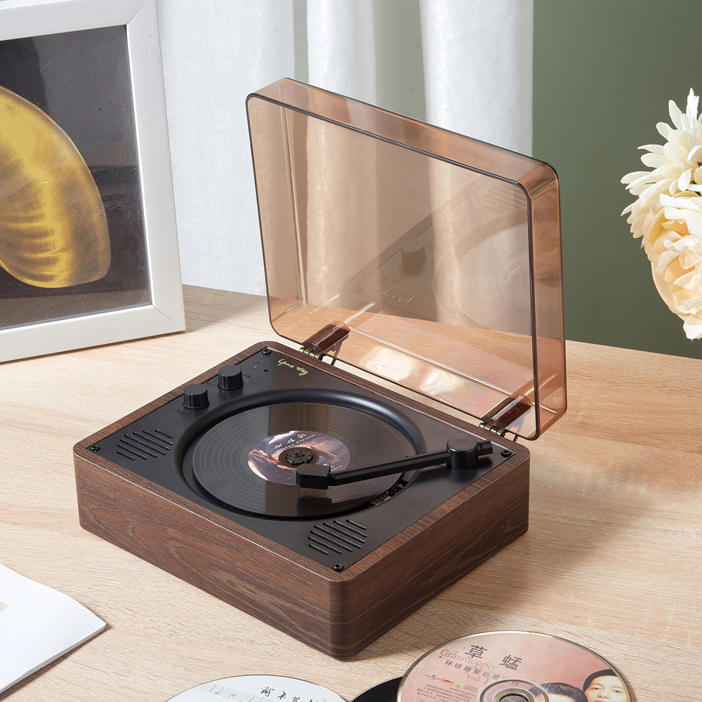 阿卡只 草蜢 环球最愛巨星 