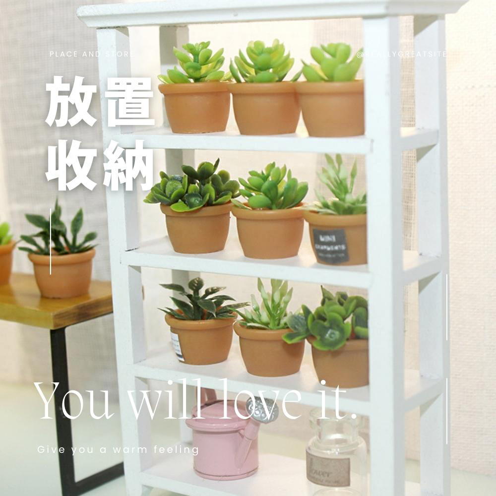 æ¾ç½® æ¶ç´ 