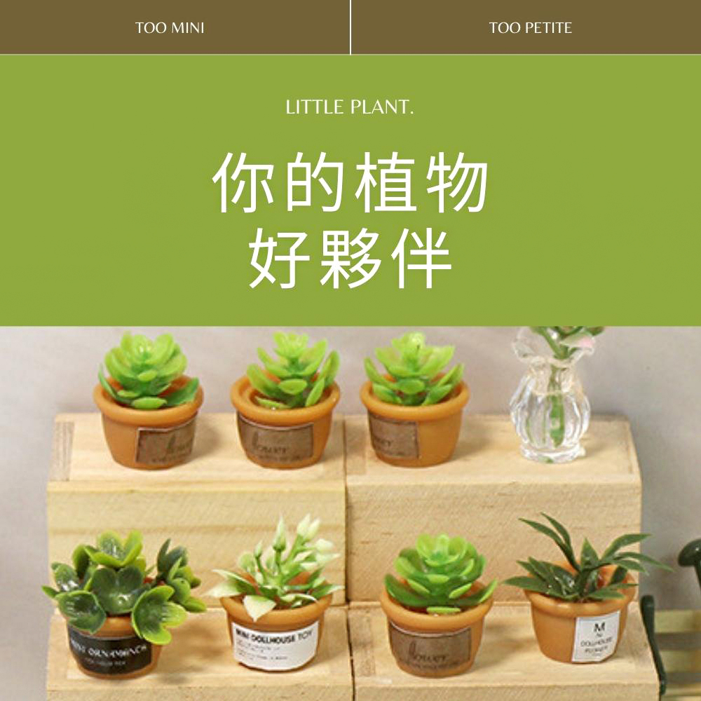 ä½ çæ¤ç© å¥½å¤¥ä¼´ 