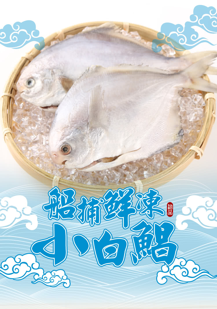 北村漁家 深海野生活凍小白鯧20尾(100-150g/尾) 