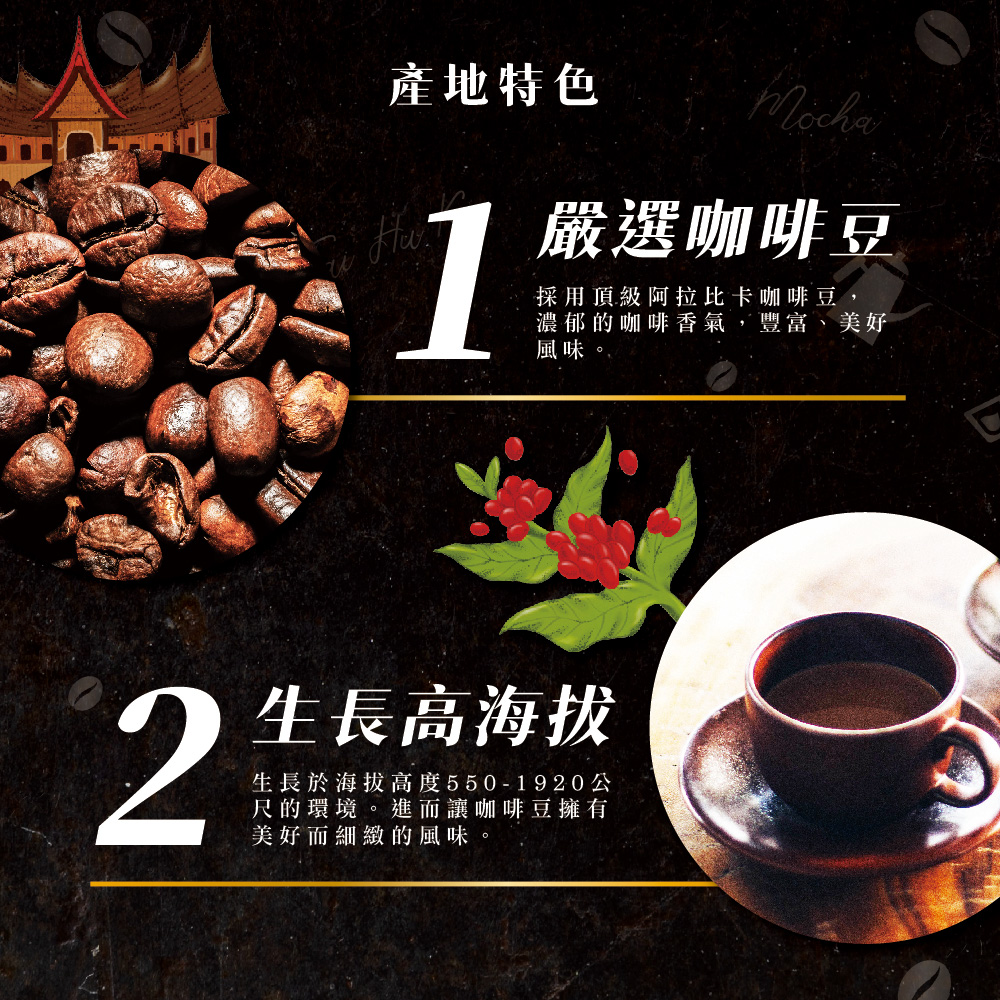 TAI HU KU 台琥庫 火山高原咖啡豆系列蘇門答臘咖啡豆