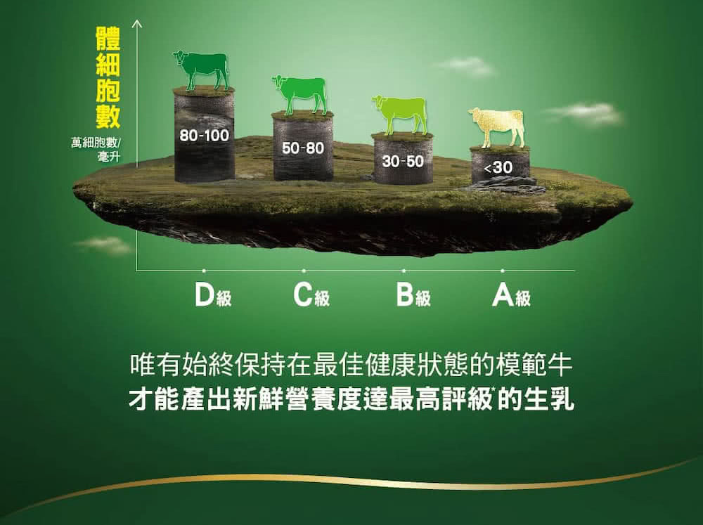 唯有始終保持在最佳健康狀態的模範牛