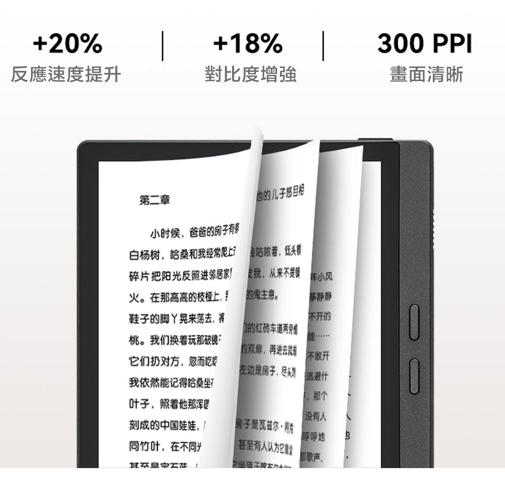 白杨树,哈桑和我经常爬上