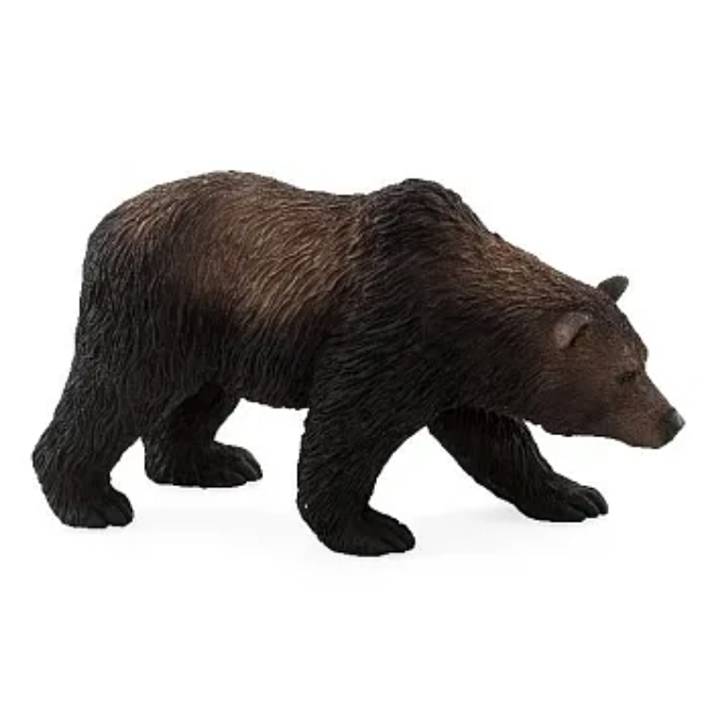 MOJO FUN 動物模型 動物星球頻道獨家授權 - 灰棕熊