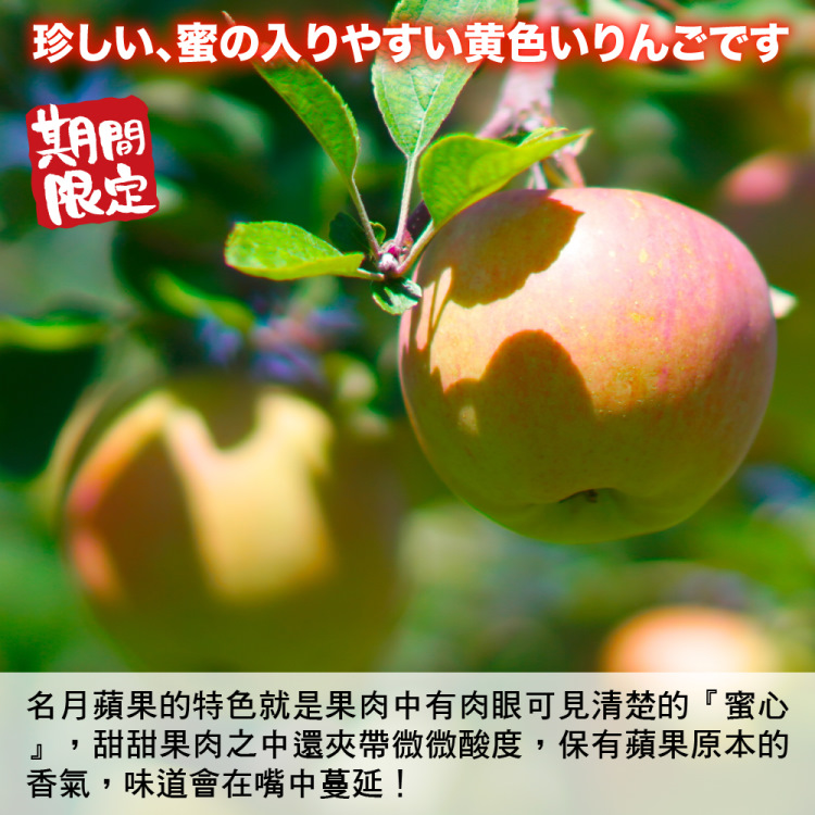 WANG 蔬果 明月蘋果3顆+弘前蘋果3顆+韓國水梨3顆 共