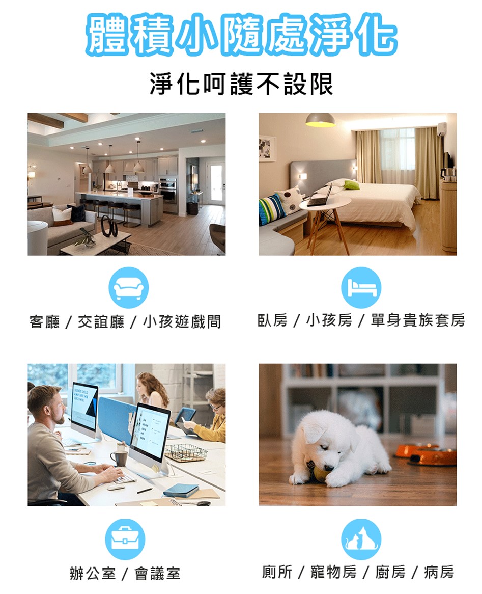 臥房  小孩房  單身貴族套房