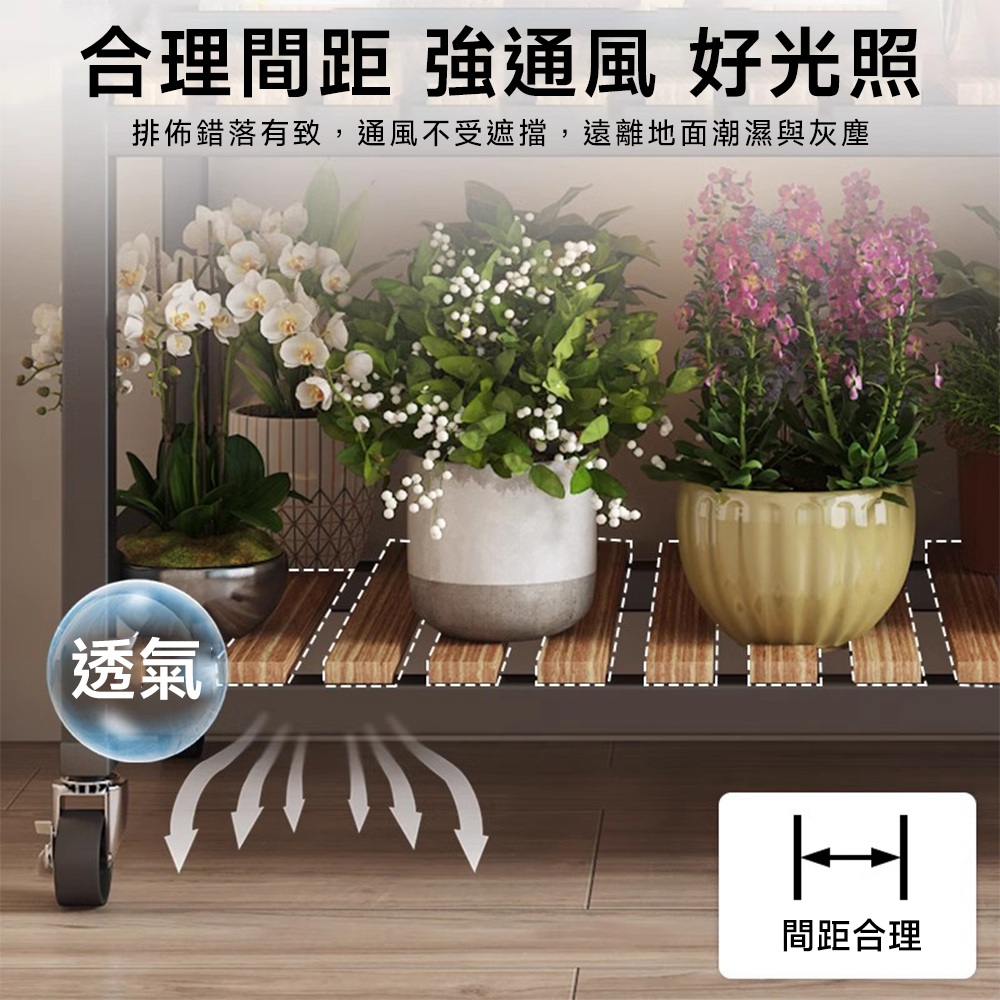 合理間距 強通風 好光照 排佈錯落有致,通風不受遮擋,遠離地面潮濕與灰塵 透氣K 間距合理 