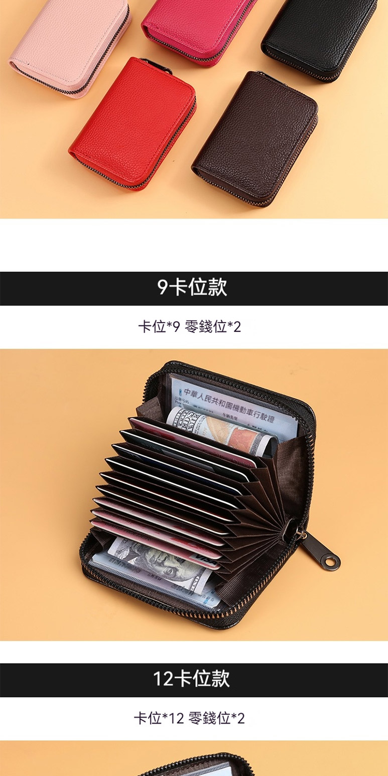 中華人民共和園機動車行駛證