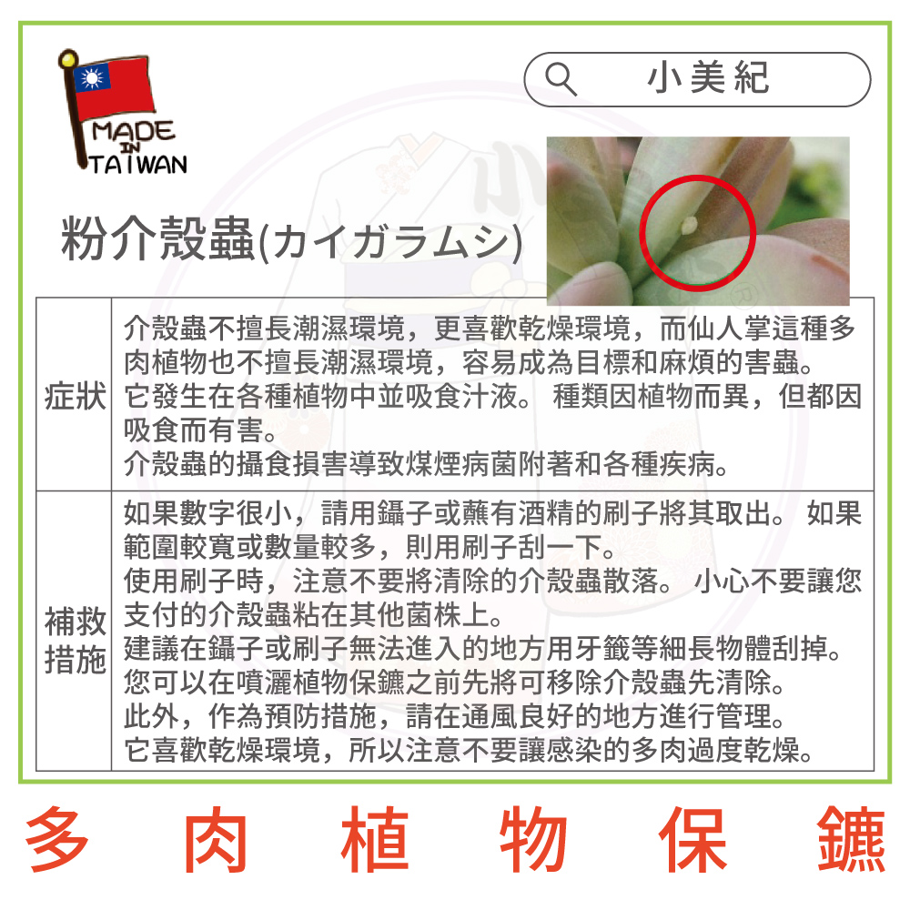 症狀它發生在各種植物中並吸食汁液。種類因植物而異,但都因