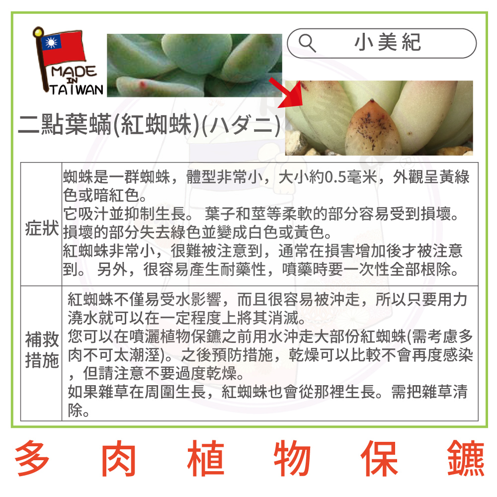 幽蛛是一群蜘蛛,體型非常小,大小約0.5毫米,外觀呈黃綠