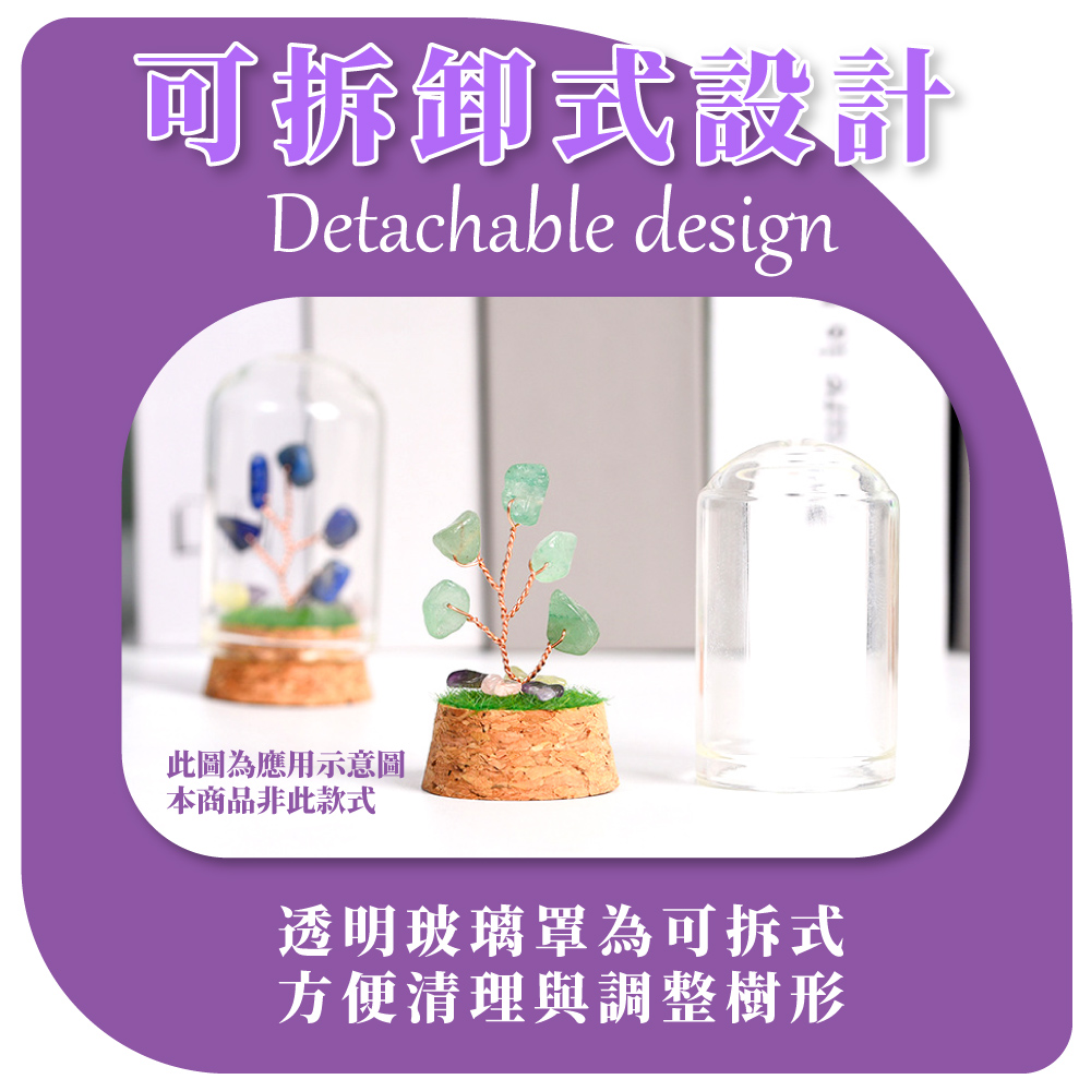 可拆卸式設計 此圖為應用示意圖 本商品非此款式 透明玻璃罩為可拆式 方便清理與調整樹形 