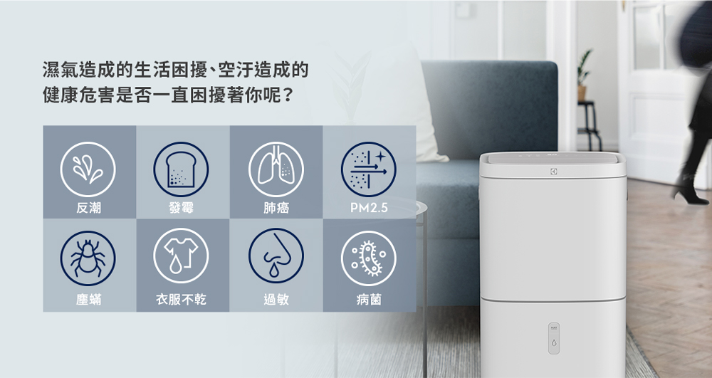 Electrolux 伊萊克斯 14L清淨除濕機-WiFi 