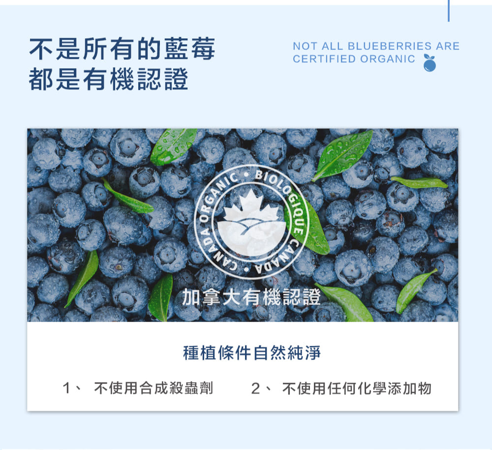 有機思維 有機野生藍莓乾(85gX2入) 推薦