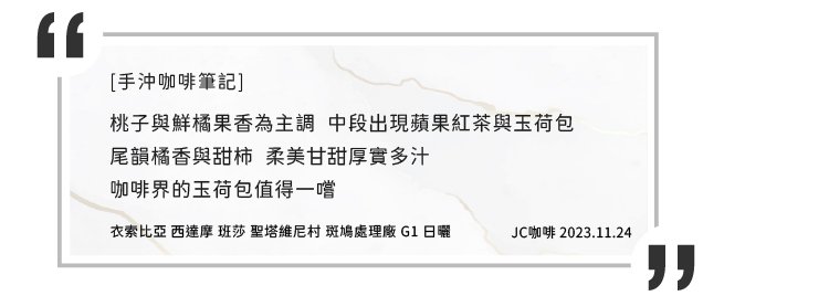 JC咖啡 衣索比亞 班莎 聖塔維尼村 斑鳩處理廠G1日曬-C