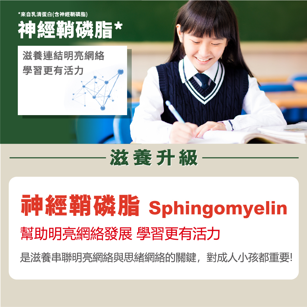 是滋養串聯明亮網絡與思緒網絡的關鍵,對成人小孩都重要