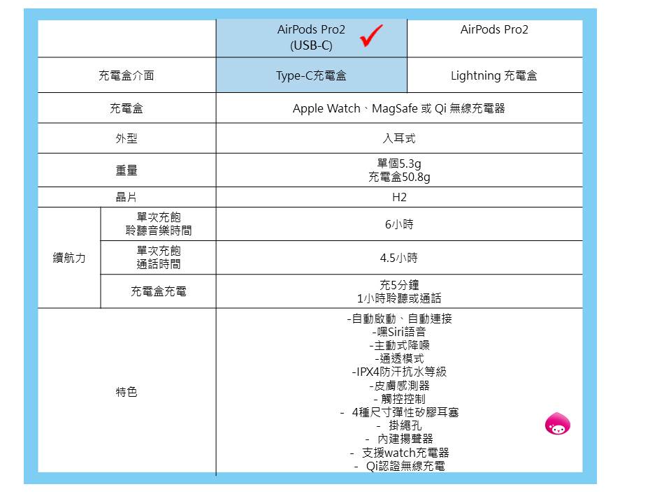 Apple 蘋果 犀牛盾防摔保護套組AirPods Pro 