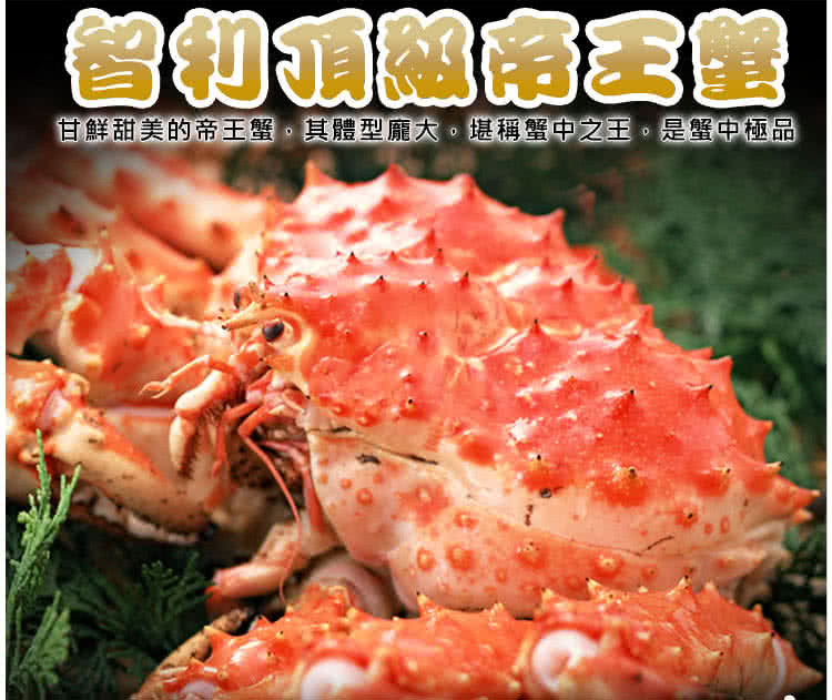 優鮮配 特大XL巨無霸智利帝王蟹1隻(約2~2.2kg/隻)