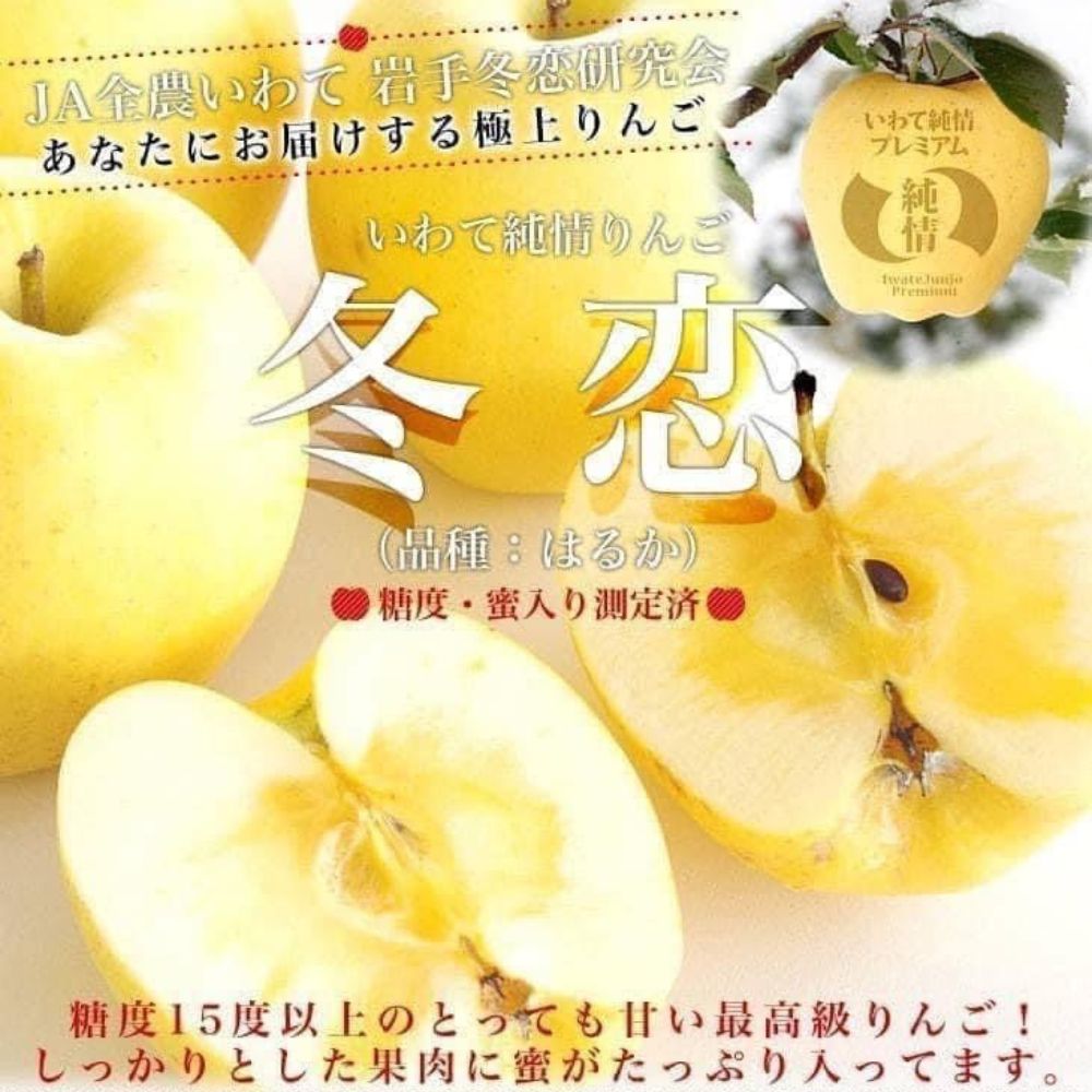 RealShop 真食材本舖 日本稀有品種 冬戀蘋果5kg±