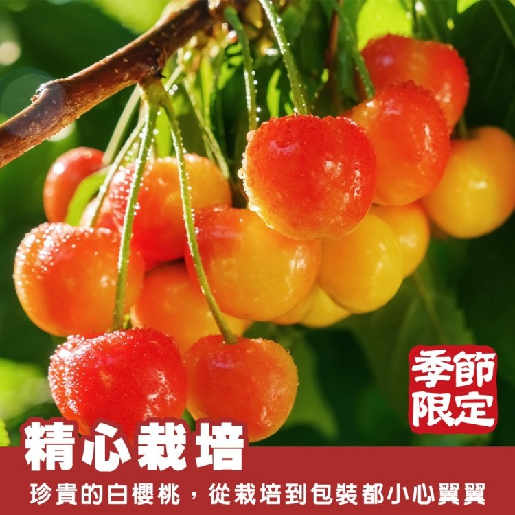 WANG 蔬果 智利草莓白櫻桃2J/9.5R 2kgx1盒(