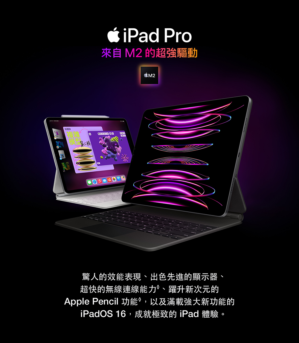 Apple 2022 iPad Pro 11吋(WiFi/1