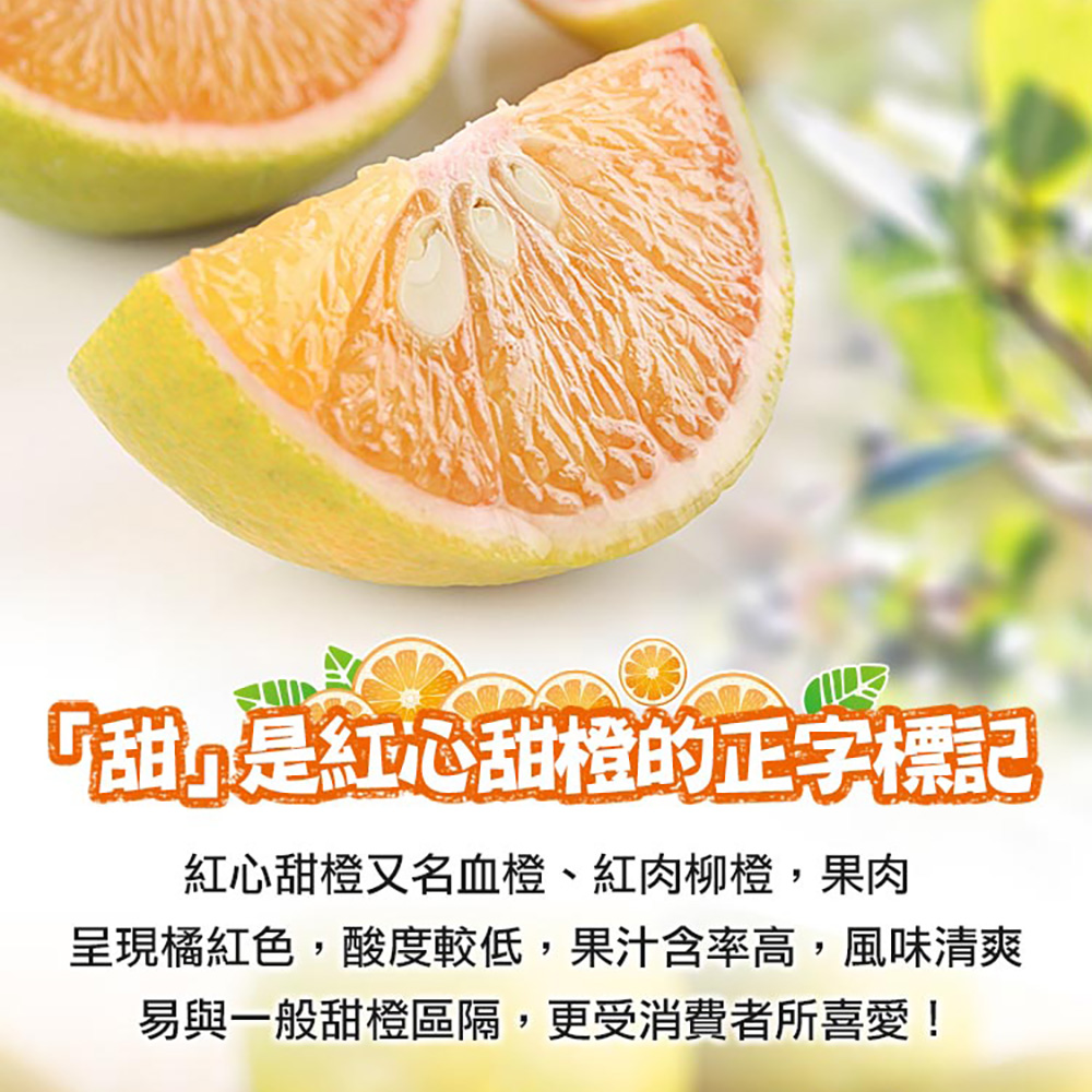 鮮食堂 南投紅心甜橙5斤x1箱(5斤/箱/鮮採)優惠推薦