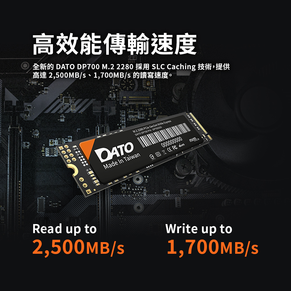 DATO 達多】DP700 1TB M.2 2280 PCIe Gen3x4 SSD 固態硬碟(最高達讀