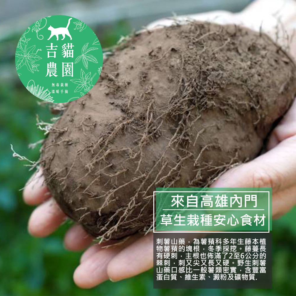 吉貓農園 高雄內門刺薯山藥5台斤x4箱(約3~6顆/箱_產地